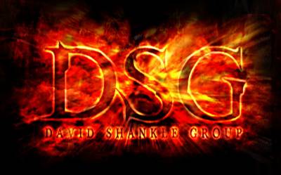 logo David Shankle Group